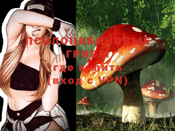 ECSTASY Зерноград