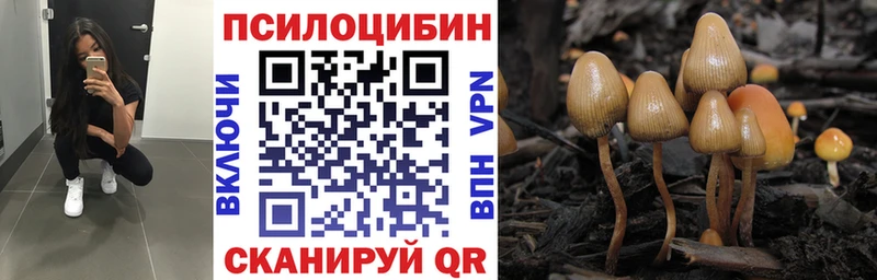 Галлюциногенные грибы GOLDEN TEACHER  Купить закладки  Югорск 